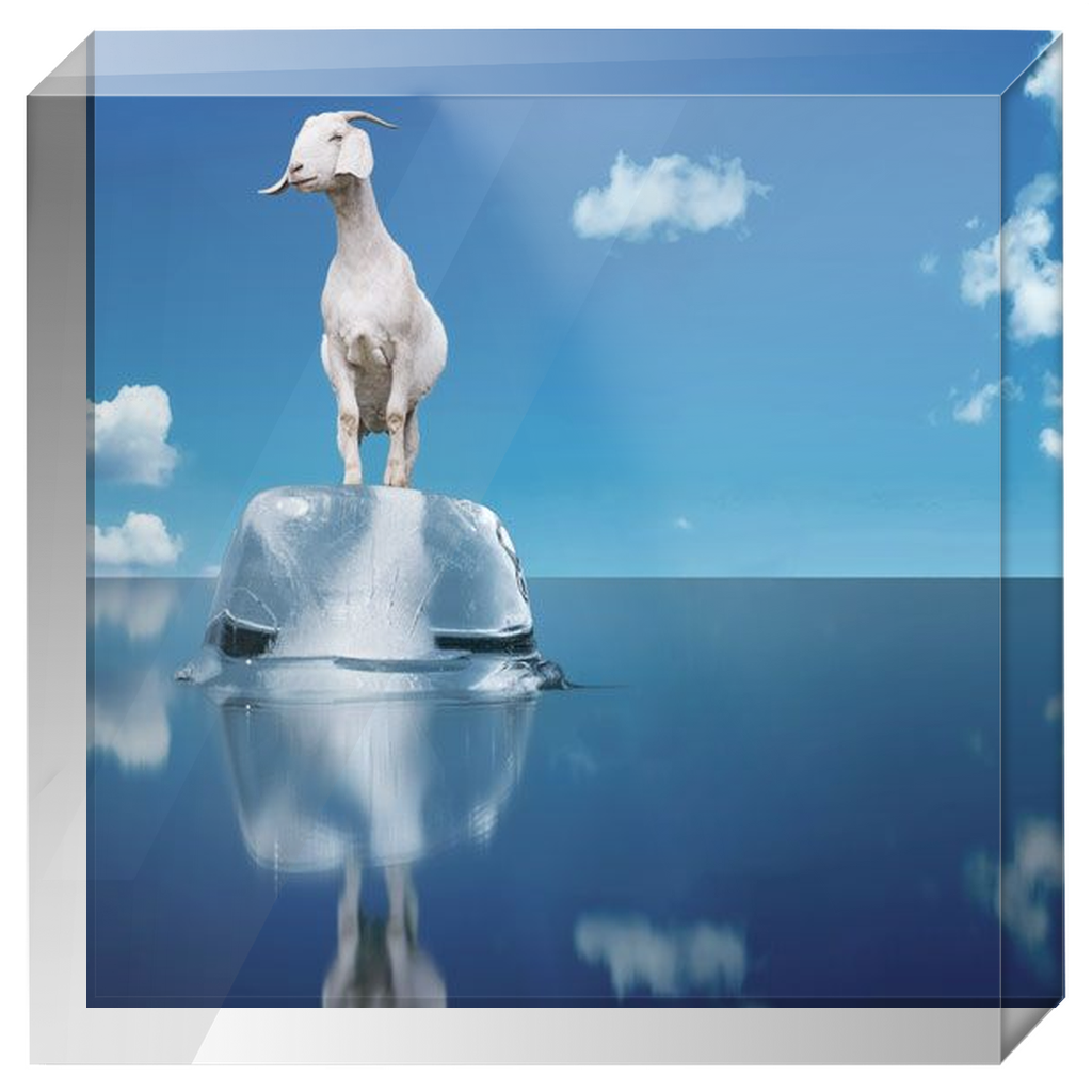 Perpetual Groove Album Cover Photo Block